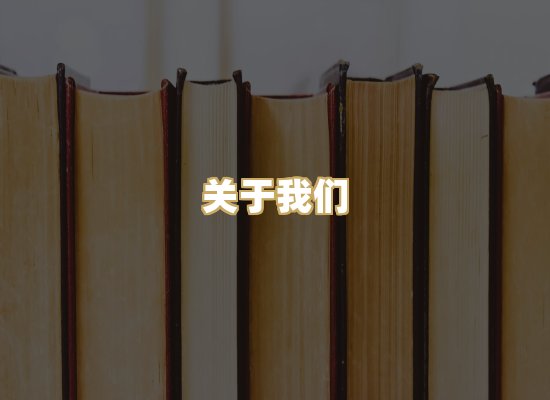 关于我们